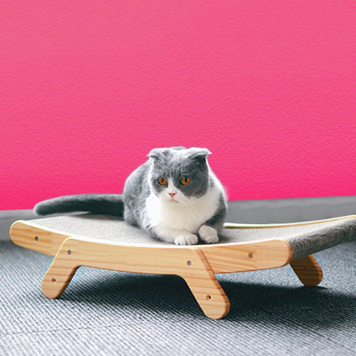 BESPORTBLE Kratzbrett Für Katzen Im Innenbereich Kratzmatte Aus Pappe Geriffelte Krallenschleifmatte Für Kätzchen Spielzeug Zur Krallenerziehung Und Stressabbau