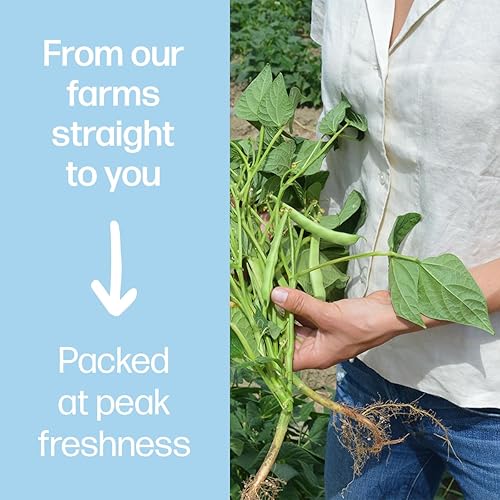 Miniatura 6 de Primary Beans - Frijoles Cannellini secos - Nuez, sedoso y abundante - Par con salvia, ajo, achicorias y parm - Frijol de cocina blanco versátil -