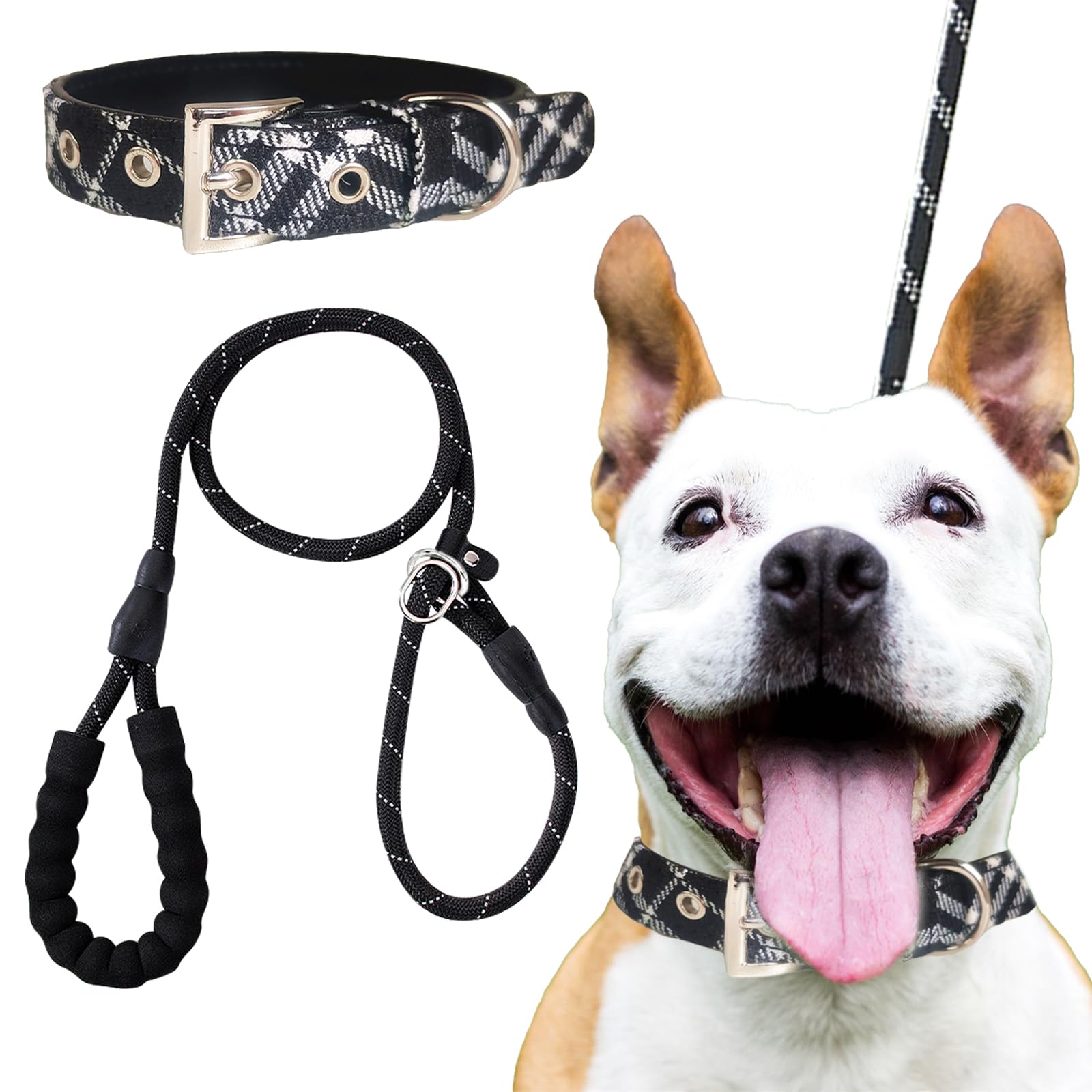 DKDDSSS Collar Perro, Collar de Perro Ajustable y Acolchado, Correa de Perro, 1,5 m Correa de Fuerte de Perro, para Perros Medianos y Grandes (Negro)