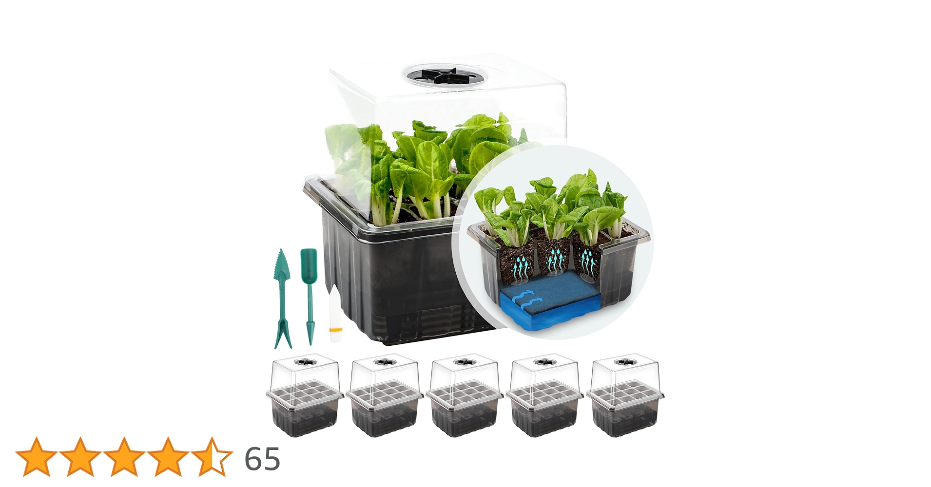 Seed Starter Tray, 6 Pack 72 Cells Plant Grow Kit With Adjustable Humidity