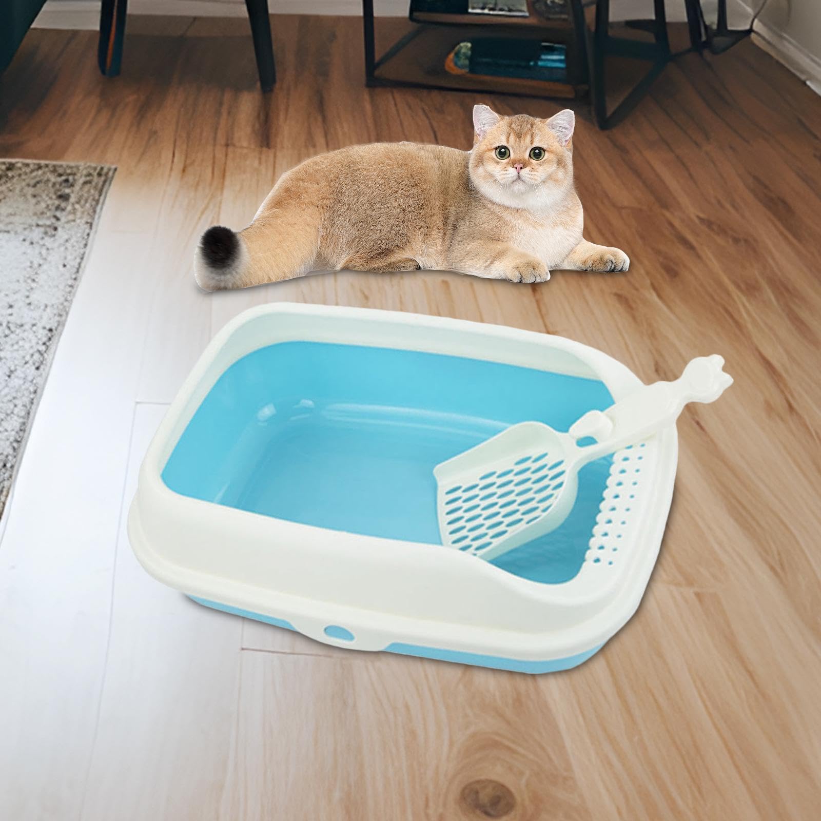 Lettaia, Lettiera for Gatti for con Coperchio Aperto