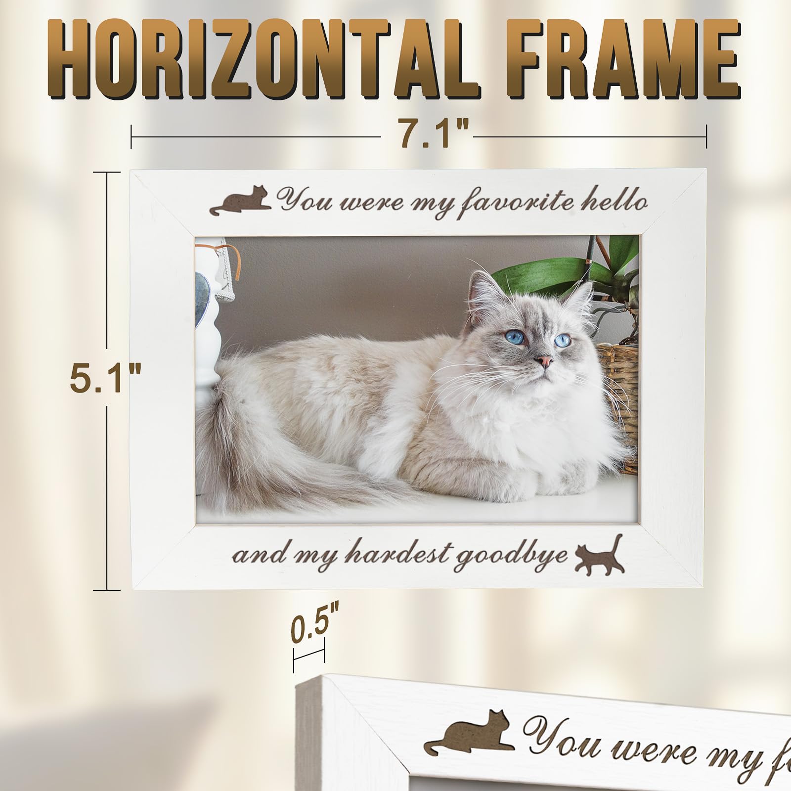 Amazon.co.jp: 猫の写真フレーム、猫のメモリアルギフト、猫のフォト