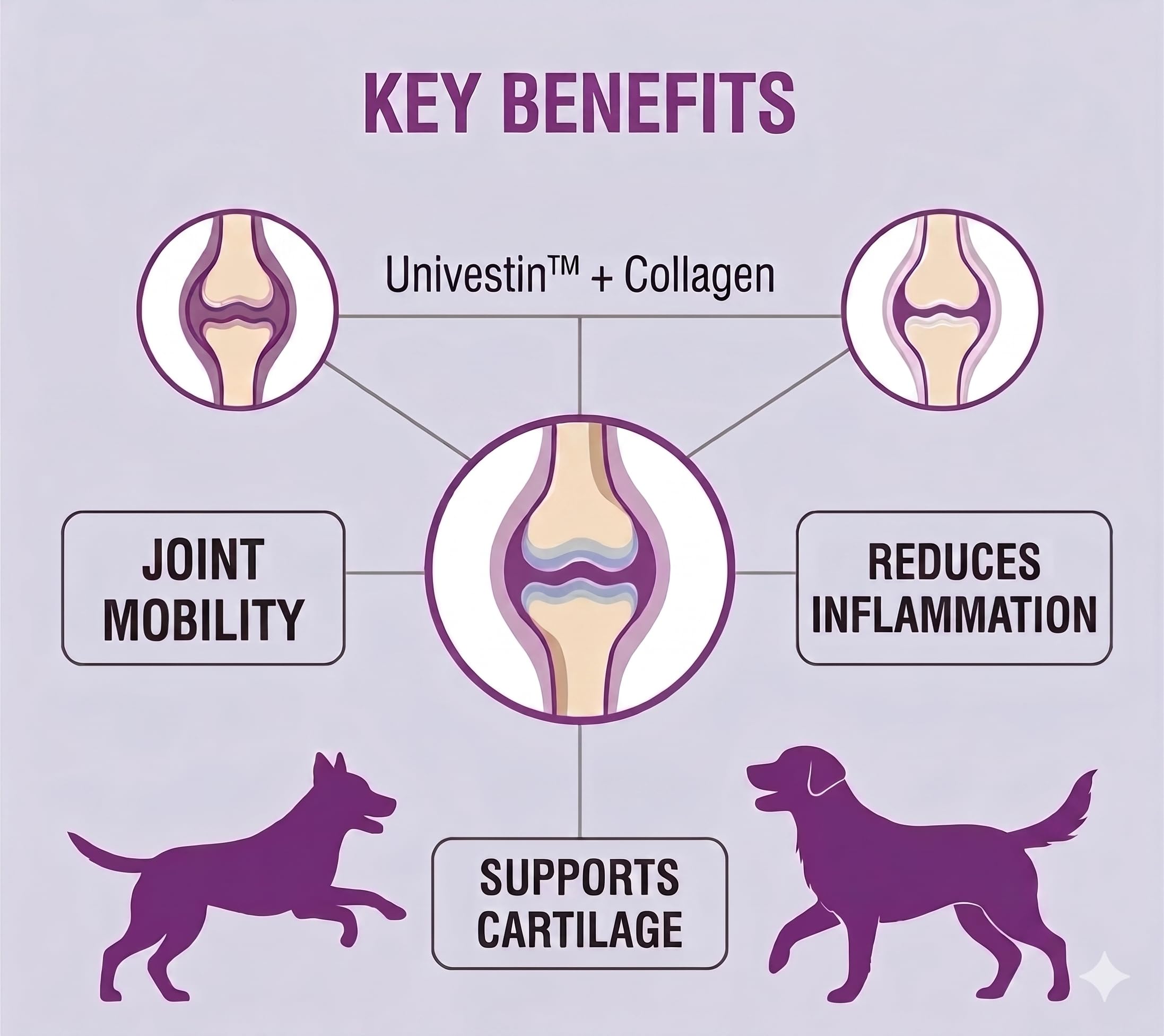 Jolly Flex Joint Support Tablets for Dogs | Glucosamine, Chondroitin, Collagen Type-II, MSM, Vitamin C & Manganese | Supports Mobility, Joint Comfort & Cartilage Health | Pack of 30 Tablets — Amazon image 3