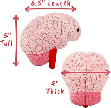 GIANT MICROBES Brain Plush, Anatomical Brain with Embroidered Details