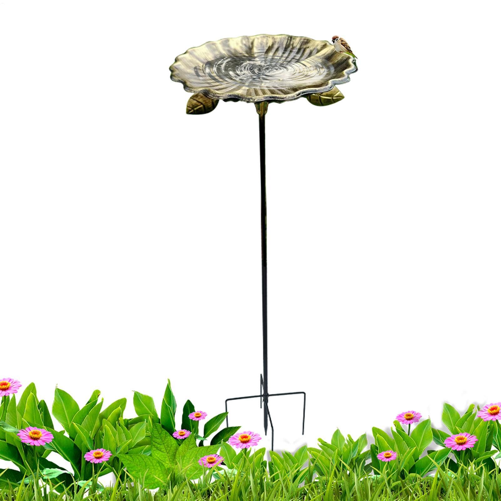 Perroquet et moineau au jardin : offrez-leur ce bain d'oiseaux extérieur