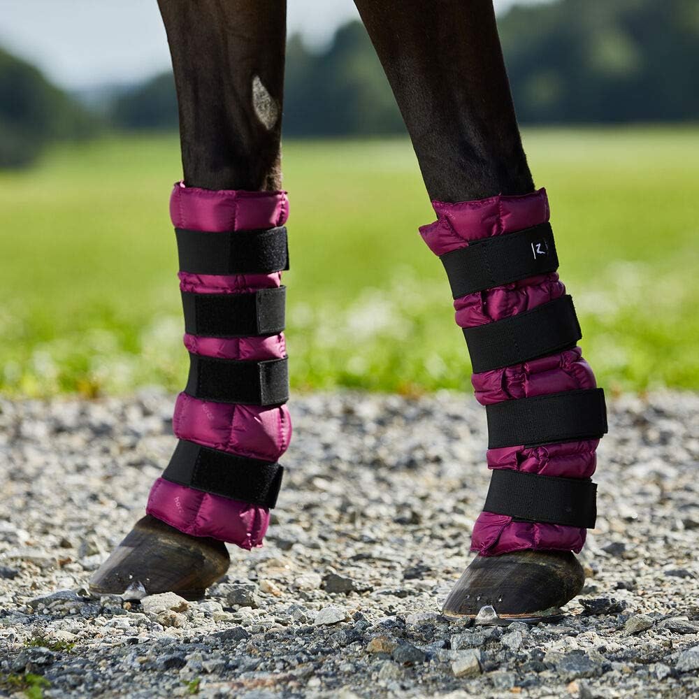 HORZE Pro Cooling Therapy Ice Wrap for Horses, Quick Cooling Gel Ice Pack with Flexible Straps, 1 Size - Pair - Boysenberry Purple : Pet Supplies