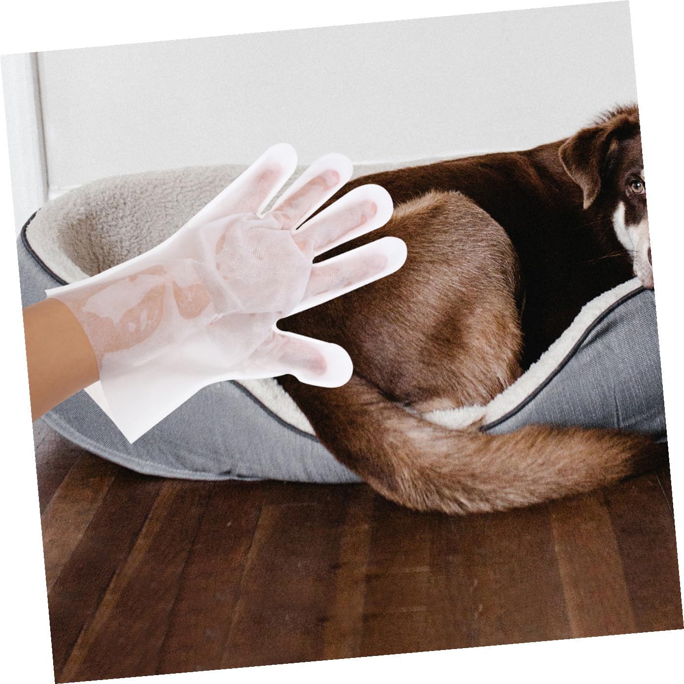 FRCOLOR 3 Set di Guanti Multiuso per La Pulizia degli Animali Domestici 6 Pezzi * 3