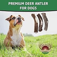 Vista 7 de Deer Valley - Cuernos masticables prémium (XL individual, 6-8 pulgadas), hueso de larga duración para razas de perros grandes y masticadores