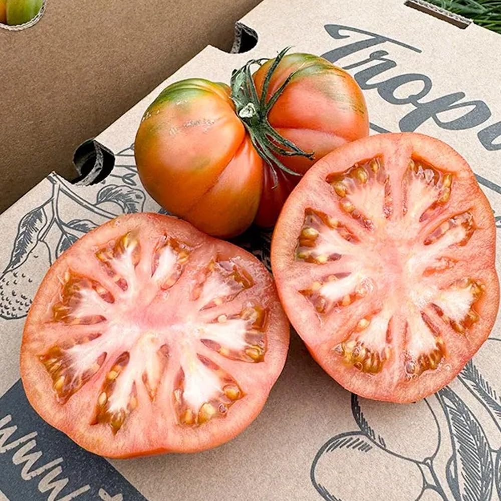 Tomate Raf | Comprar los mejores tomates Raf de temporada, frescos, de sabor único y cultivados de forma sostenible en España, directos del agricultor a tu mesa (4 Kg) — view 5