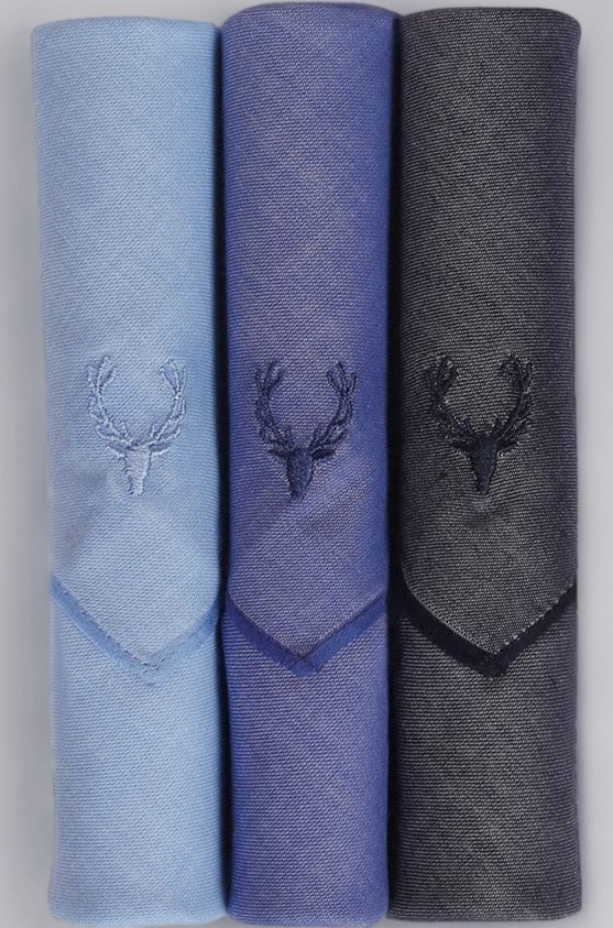 Men's Cotton Handkerchief (AHW16365E_Multi_One Size)