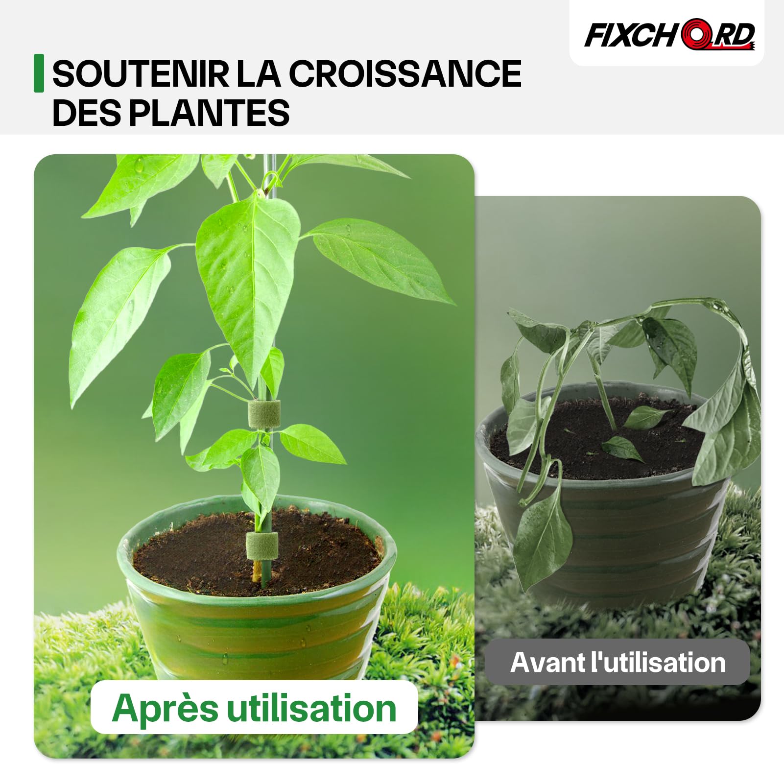 Attaches de Jardin pour Plantes, 10m*12mm Attache Plante Grimpante, Attache Plante Grimpante pour Tomate, Liens de Plantes Bande de Fixation Réutilisable, Verre Vert