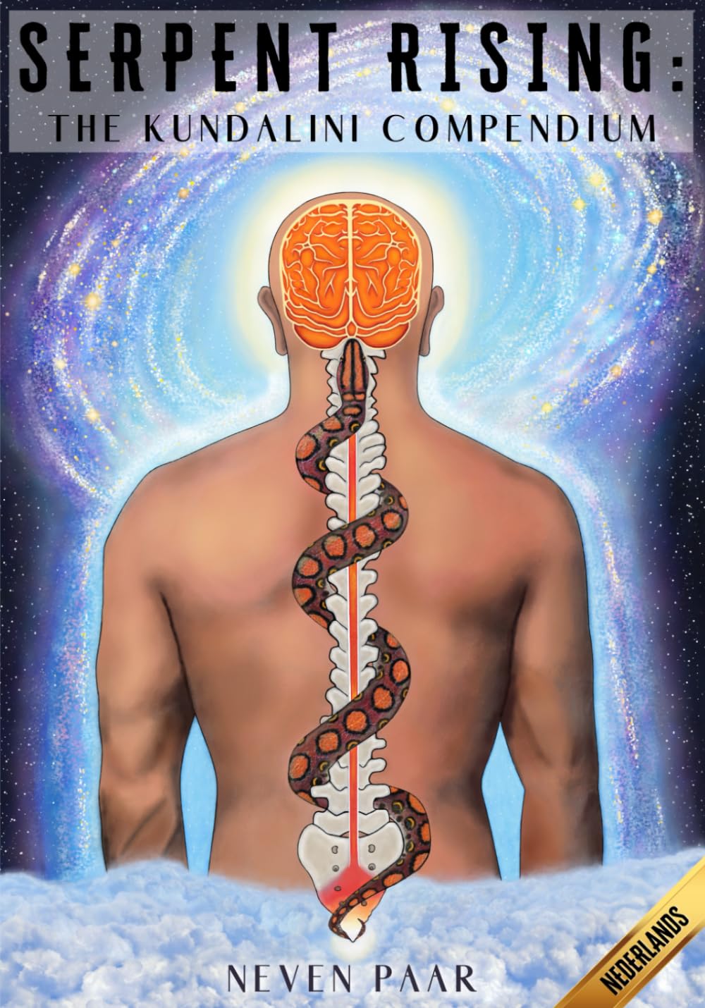 Serpent Rising: The Kundalini Compendium (Standaard Editie): 's Werelds Meest Uitgebreide Werk over het Menselijk Energiepotentieel