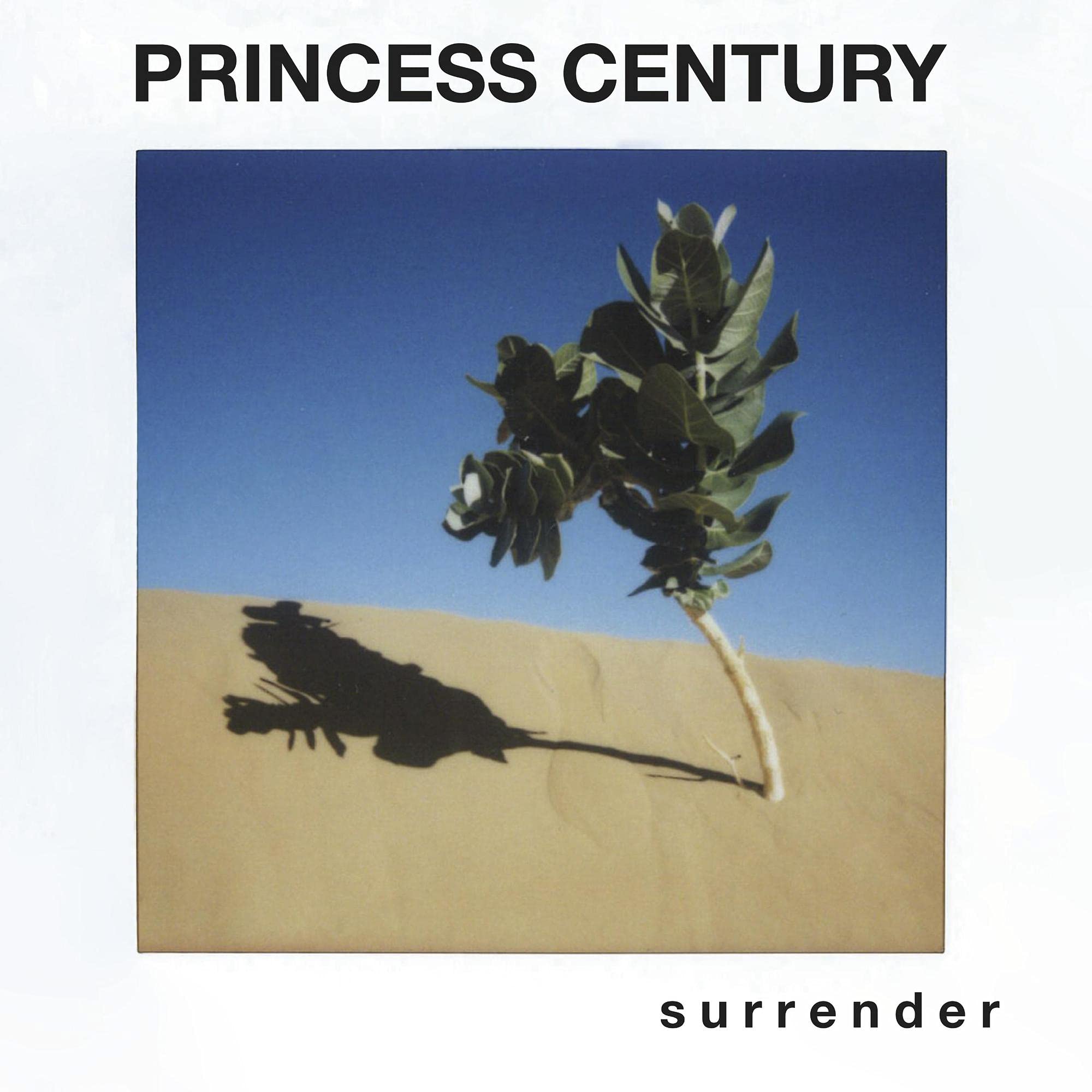 s u r r e n d e r [VINYL]