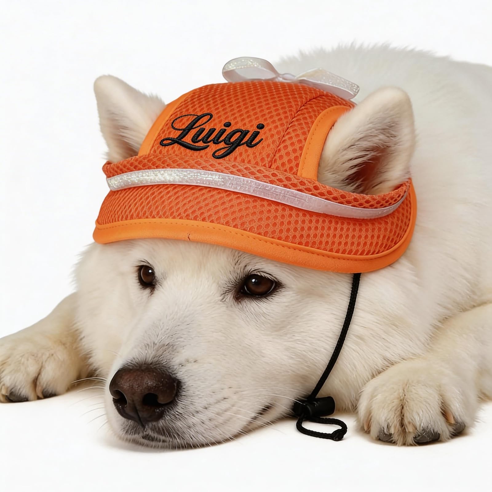 Custom Dog Hat, Personalized Sun Protection Dog Cap with Embroidery Name, UV Protection Dog Baseball Cap with Ear Holes, Outdoor Hats for Dogs and Cats (Style B)
