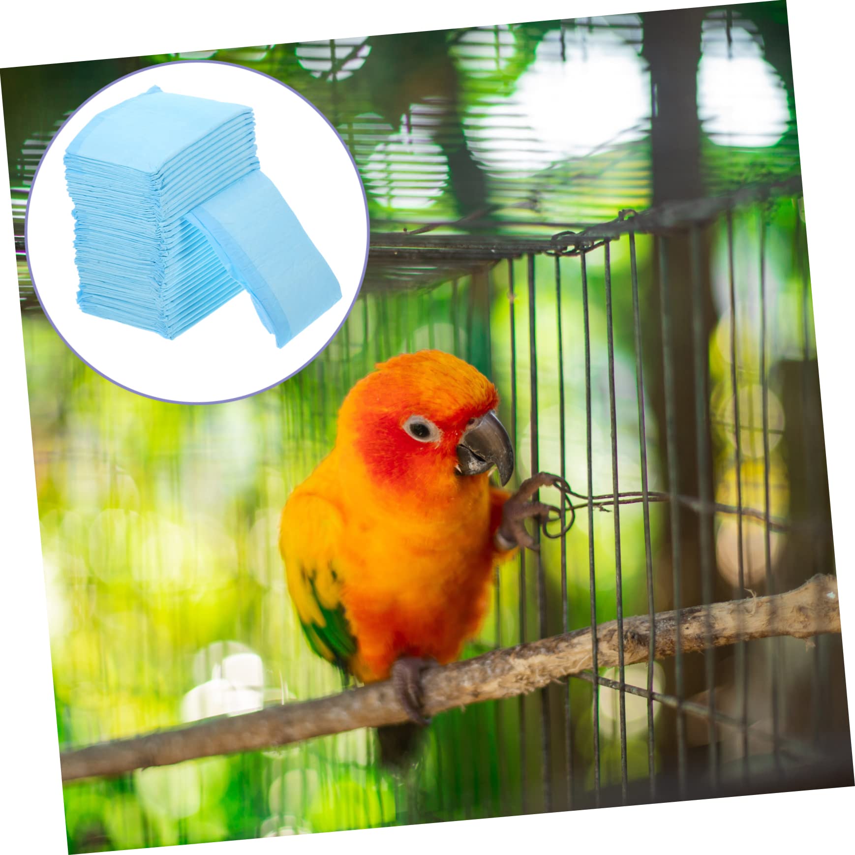 100piezas Empapadores Descartables para Jaulas De Periquitos Impermeables para Aves Absorbentes y Prácticos