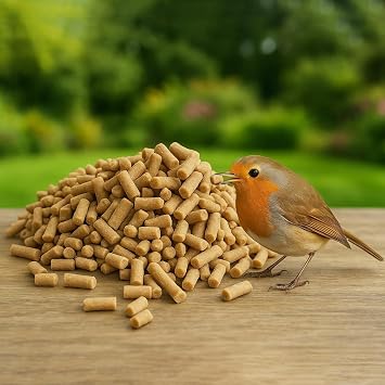 ASSORTED FLAVOURS Super Suet Premium High Fat Suet Pellets Ultra High Energy Suet Pellet Bird Feed ideal for all Garden Birds Food (3kg, Insect)