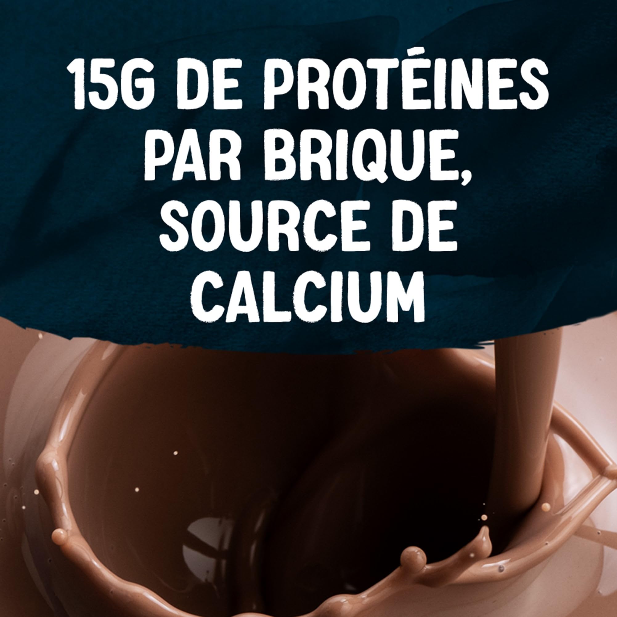 Alpro - Boisson végétale - Soja protéine goût chocolat - 250ml - Lot de 15x250ml