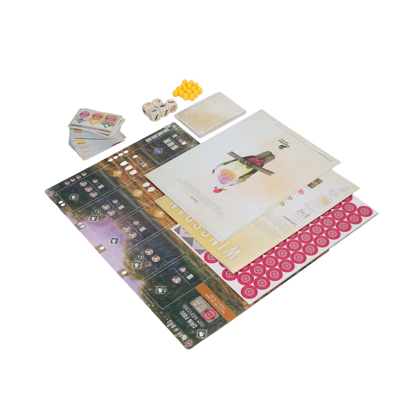 Set di giochi da tavolo interattivi, gioco di carte per famiglie per esercitare il cervello, divertente gioco da scrivania multigiocatore con carte, dadi e quaderno di