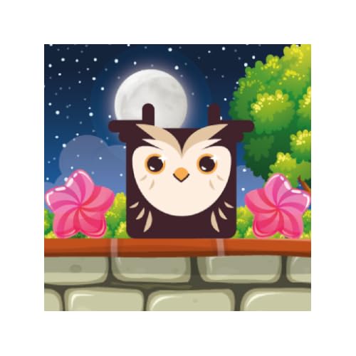 Owl Block