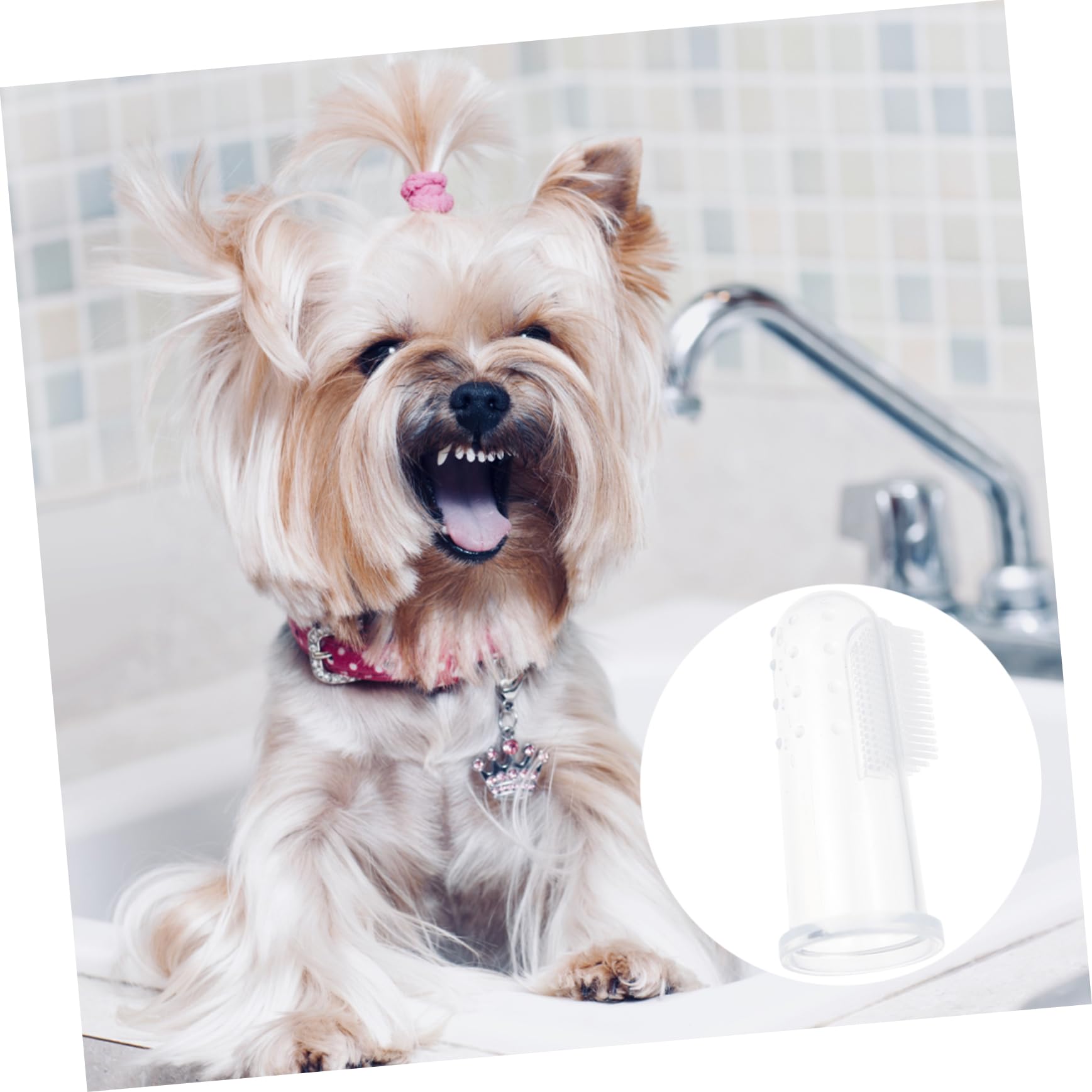 WOONEKY Lot De 30 Brosses À Dents En Silicone Souple Pour Chiens