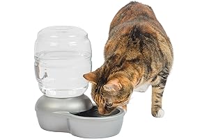 Effortless Pet Hydration: Meet Petmate's Automatic Gravity Waterer