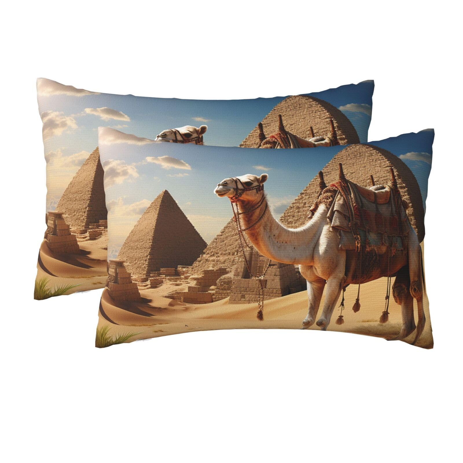 2 Pack Queen Pillow Cases with Hidden Zipper, Soft Breathable Pillow Covers for Hair and Skin, Camel Desert Pillowcases 20"x30" Bed Pillow Protectors Cover for Sleeping Gifts