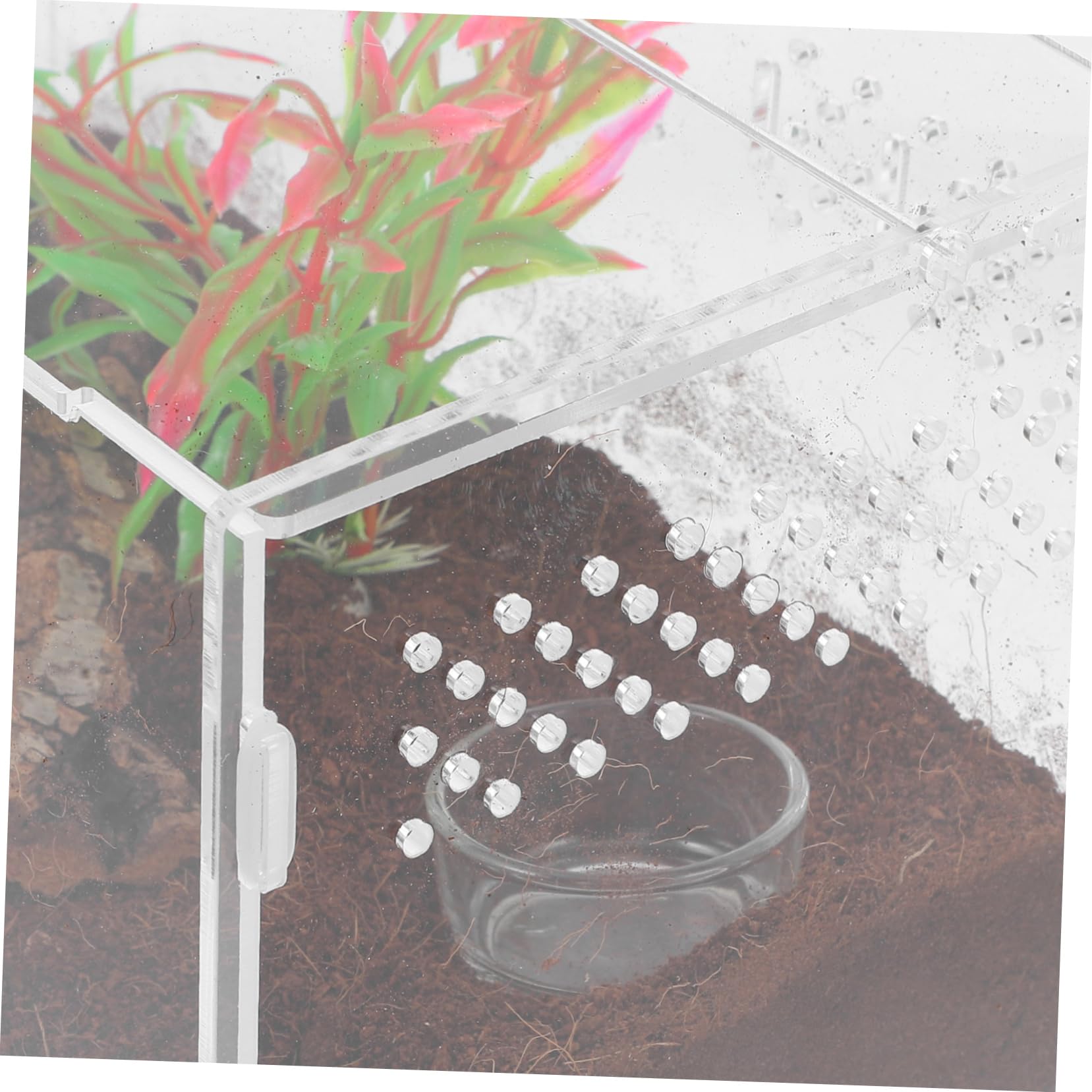BESPORTBLE Terrario Gabbia Trasparente in Acrilico Fori di Ventilazione per Rettili Facile da Pulire, per Serpenti e Mantidi per Piccoli Animali Domestici