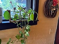 Review Image by Doesn’t work. Won’t refund or replace. Would not recommend . Doesn’t work. Won’t refund or replace. Would not recommend .