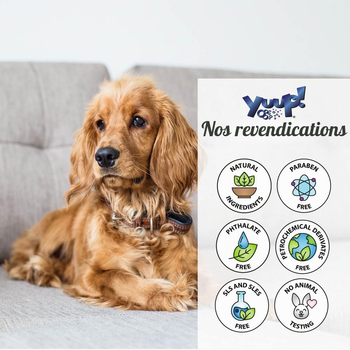 YUUP! - Spray Demelant Chien et Chat, 150 ML, Soin Biphasé démêlant et lustrant pour Pelage de Chiens et Chat, Bambou & Graines de Lin