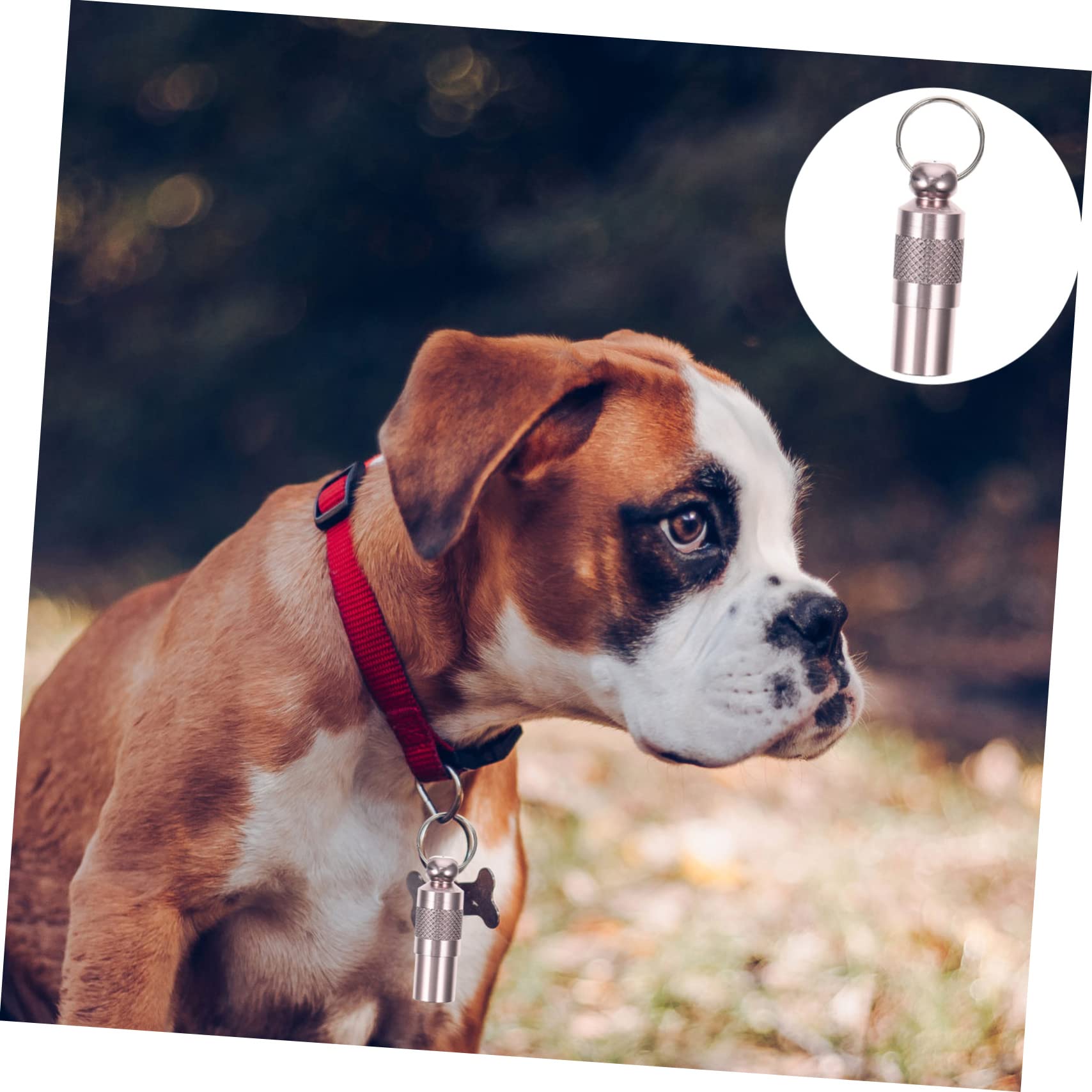 POPETPOP 30stücke Id Tags Für Hunde Und Katzen Personalisierte Adressanhänger Verhinderung Von Verlust Mit Namensschild Telefonnummer Und Adresse Für Antik