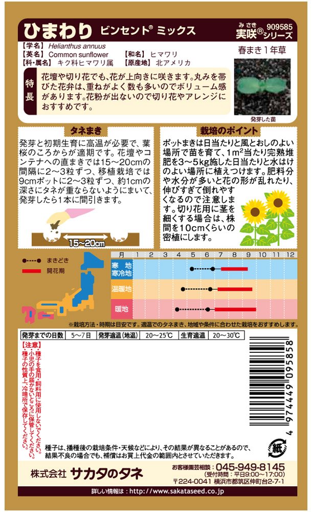 m*み様 3953⭐️SD⭐️ポーセリン交配⭐️小中輪⭐️美色⭐️裏ベイン⭐️コ Amazon | サカタのタネ 実咲花9585 ヒマワリ ビンセントミックス