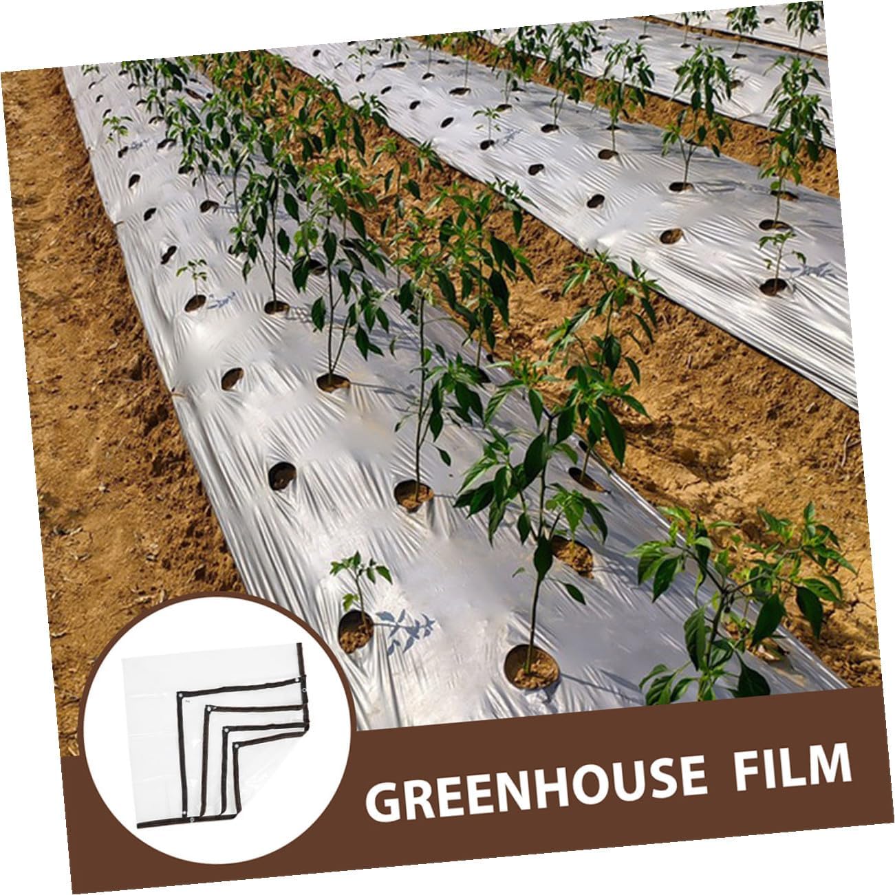 BESTonZON Thickened 3mx3m Greenhouse Film Cover Garden Protective Rainproof Plastic Film for Insulation Dustproof Outdoor Plant Shelter