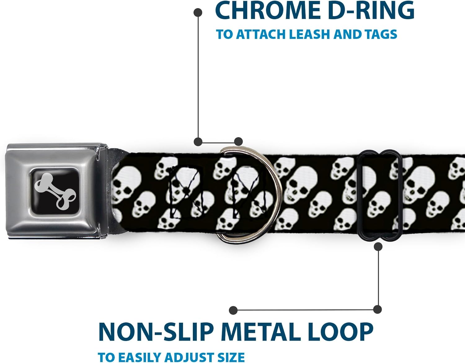 Buckle-Down Seatbelt Buckle Dog Collar - Tilted Skulls Black/White - 1" Wide - Fits 9-15" Neck - Small