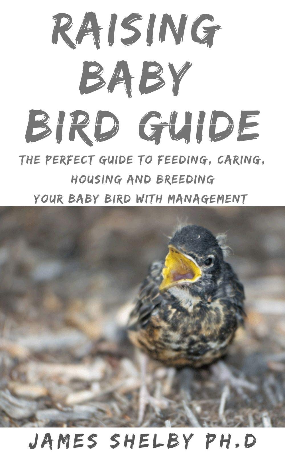 Buy RAISING BABY BIRD GUIDE The Perfect Guide To Feeding, Caring
