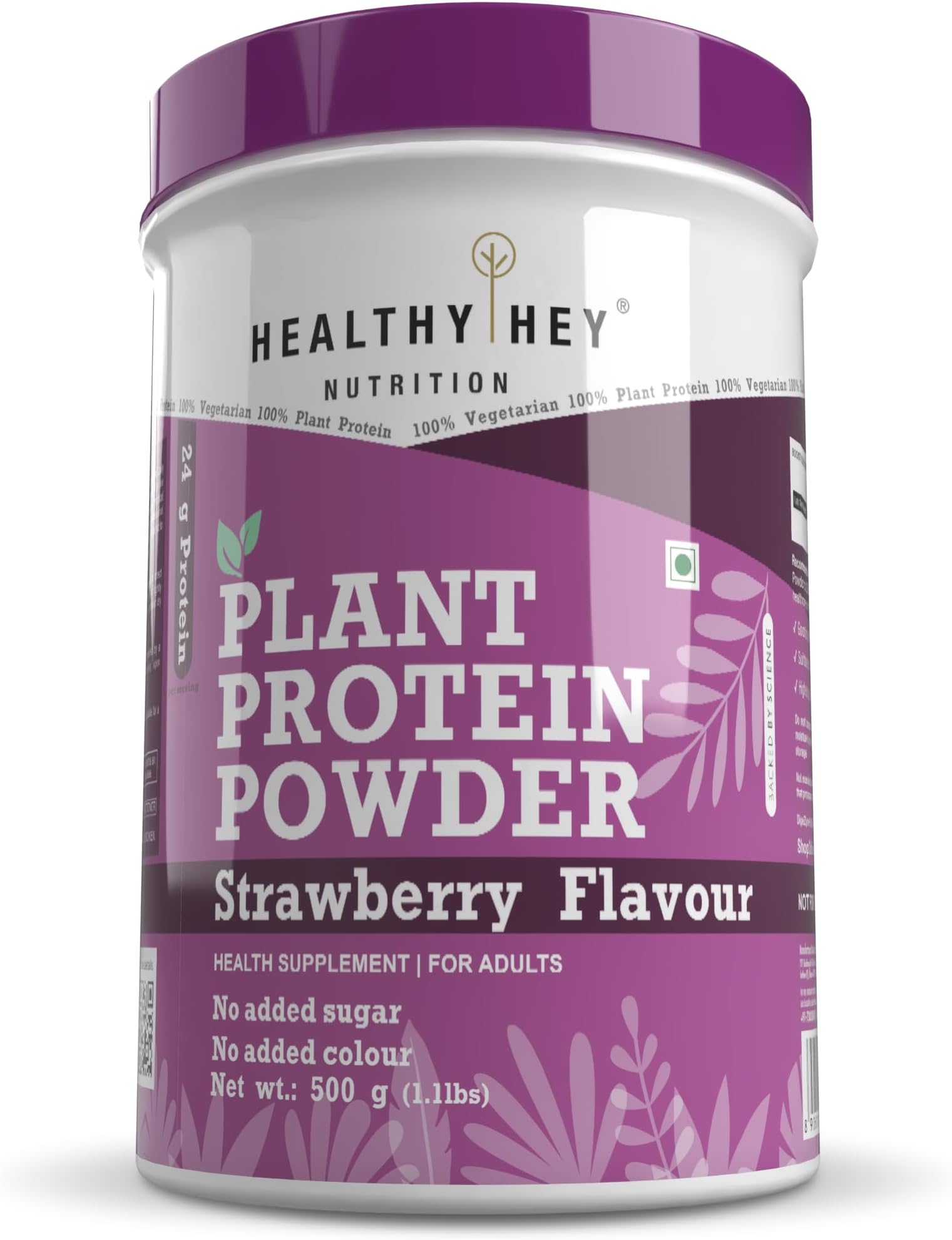 Plant Protein Powder, Vegan Protein, Low Net Carbs, Non Dairy, Gluten Free, Lactose Free, No Sugar Added, Soy Free, Non-GMO - 500gm (Strawberry)