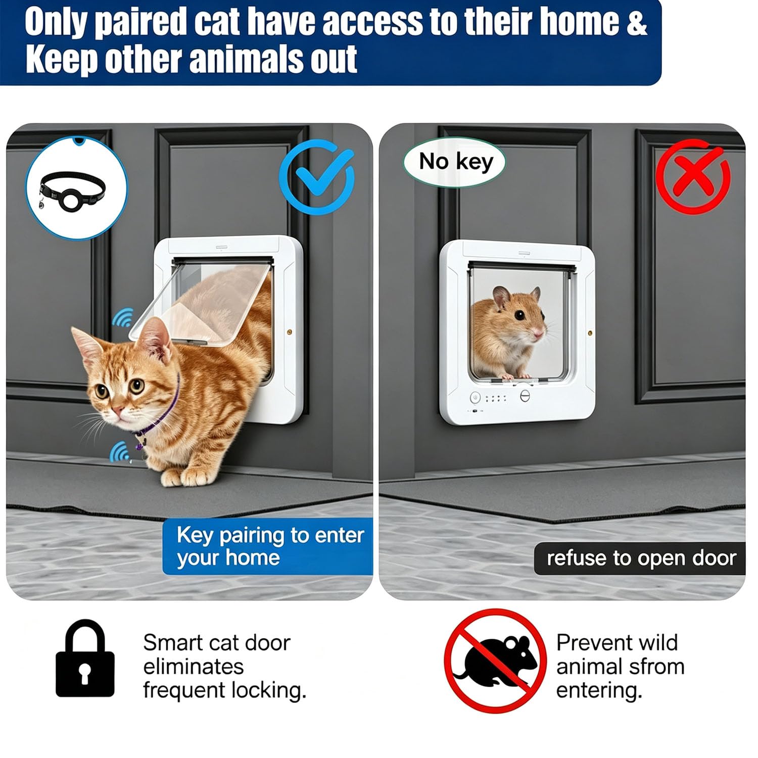 Porta per gatti con microchip, gattaiola attivata