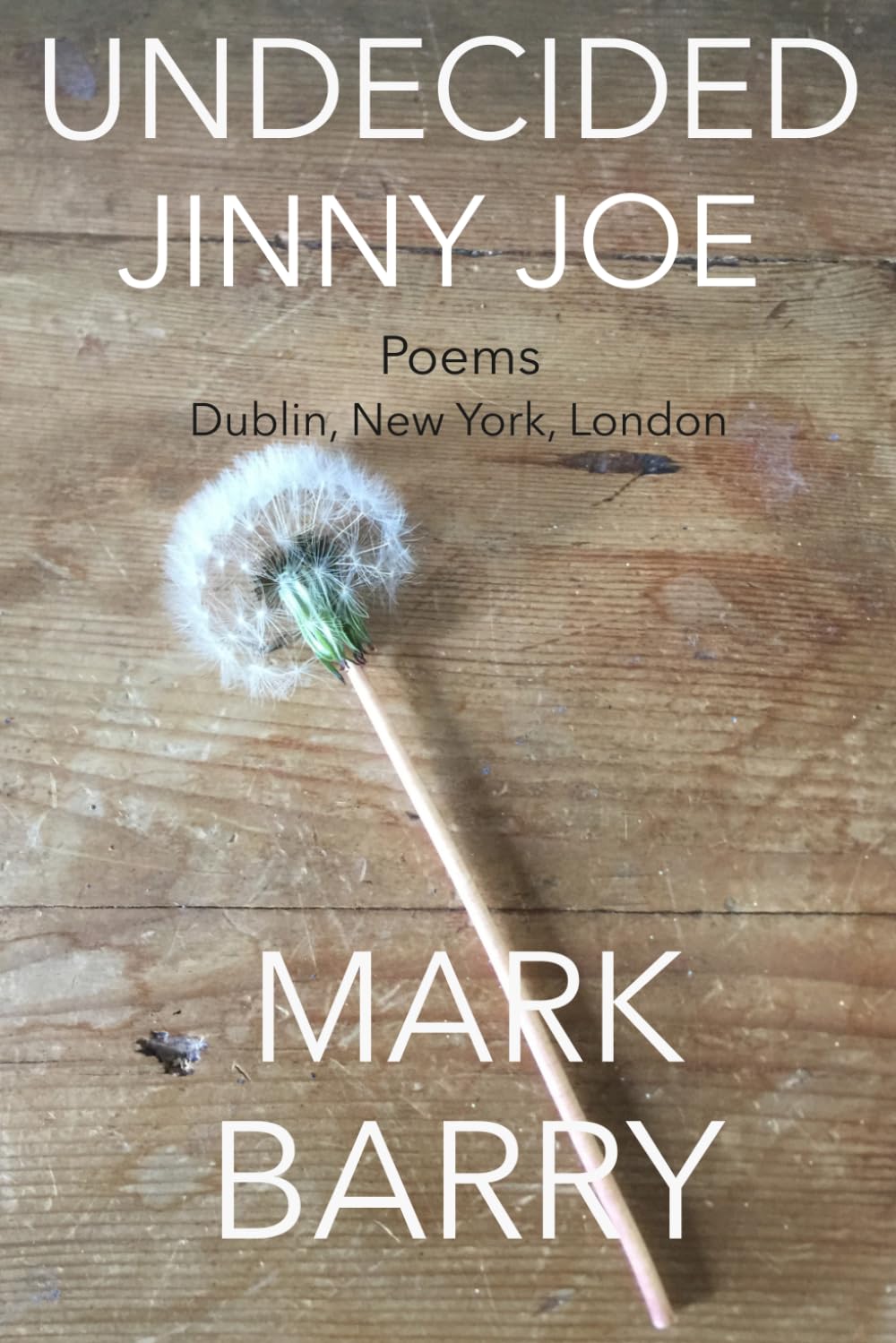 UNDECIDED JINNY JOE: Poems - Dublin, New York, London (Left Luggage Series)