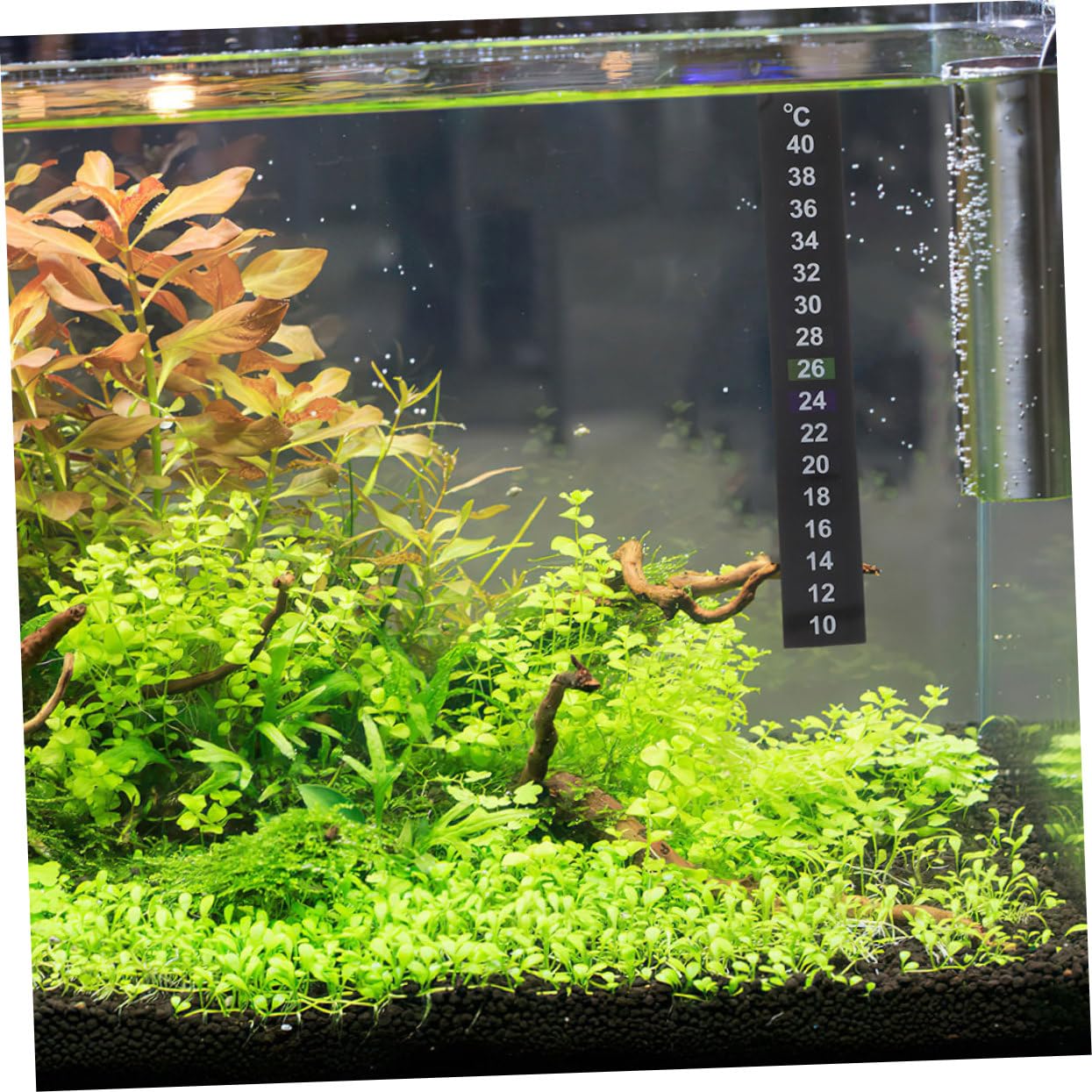 12 Piezas Pegatinas De Temperatura para Acuario 10℃ 40℃/50℉ 104℉ Fácil De Aplicar