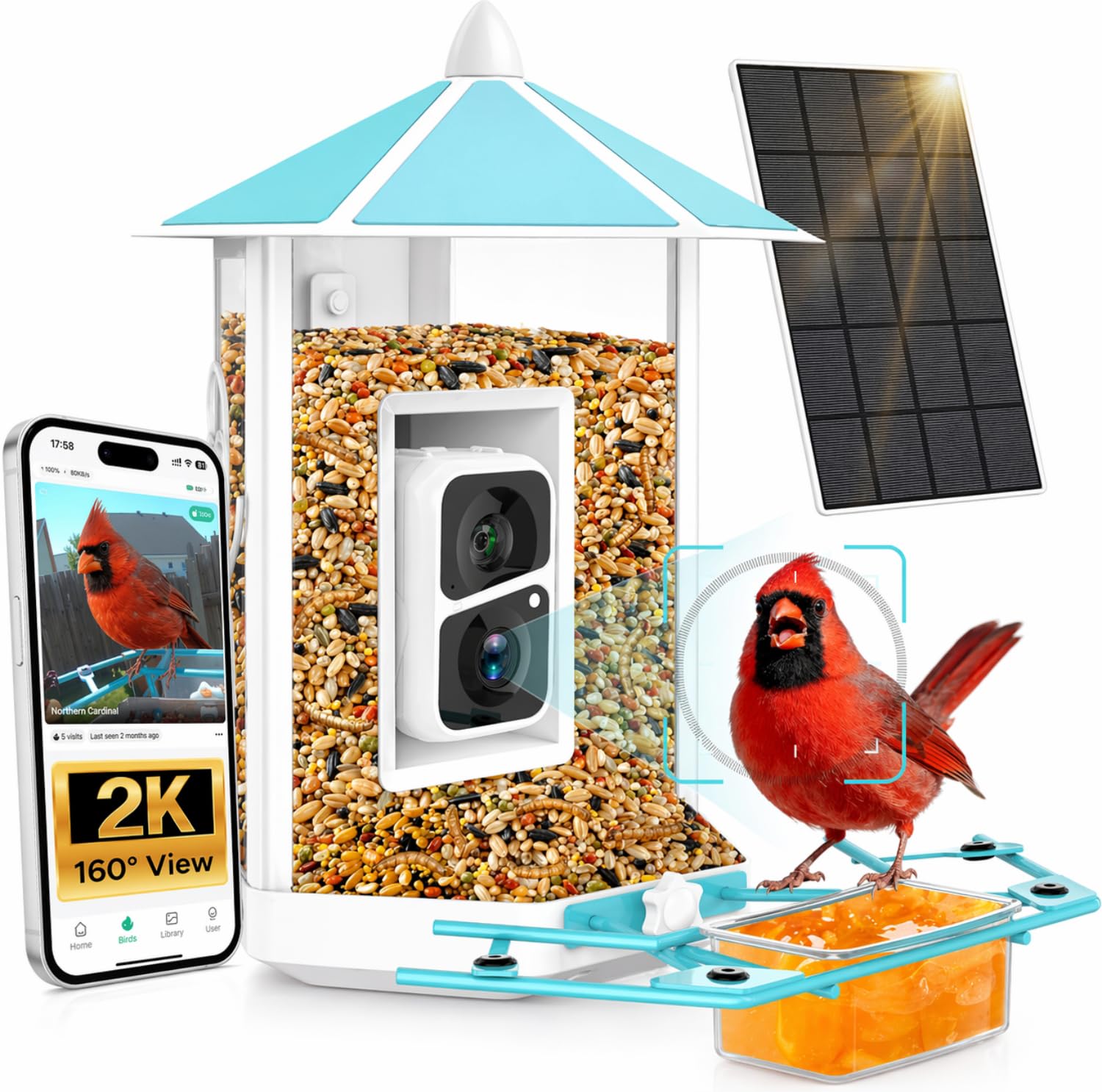 Amazon.com : Bird Feeder with Camera - All-Metal Chewproof Smart