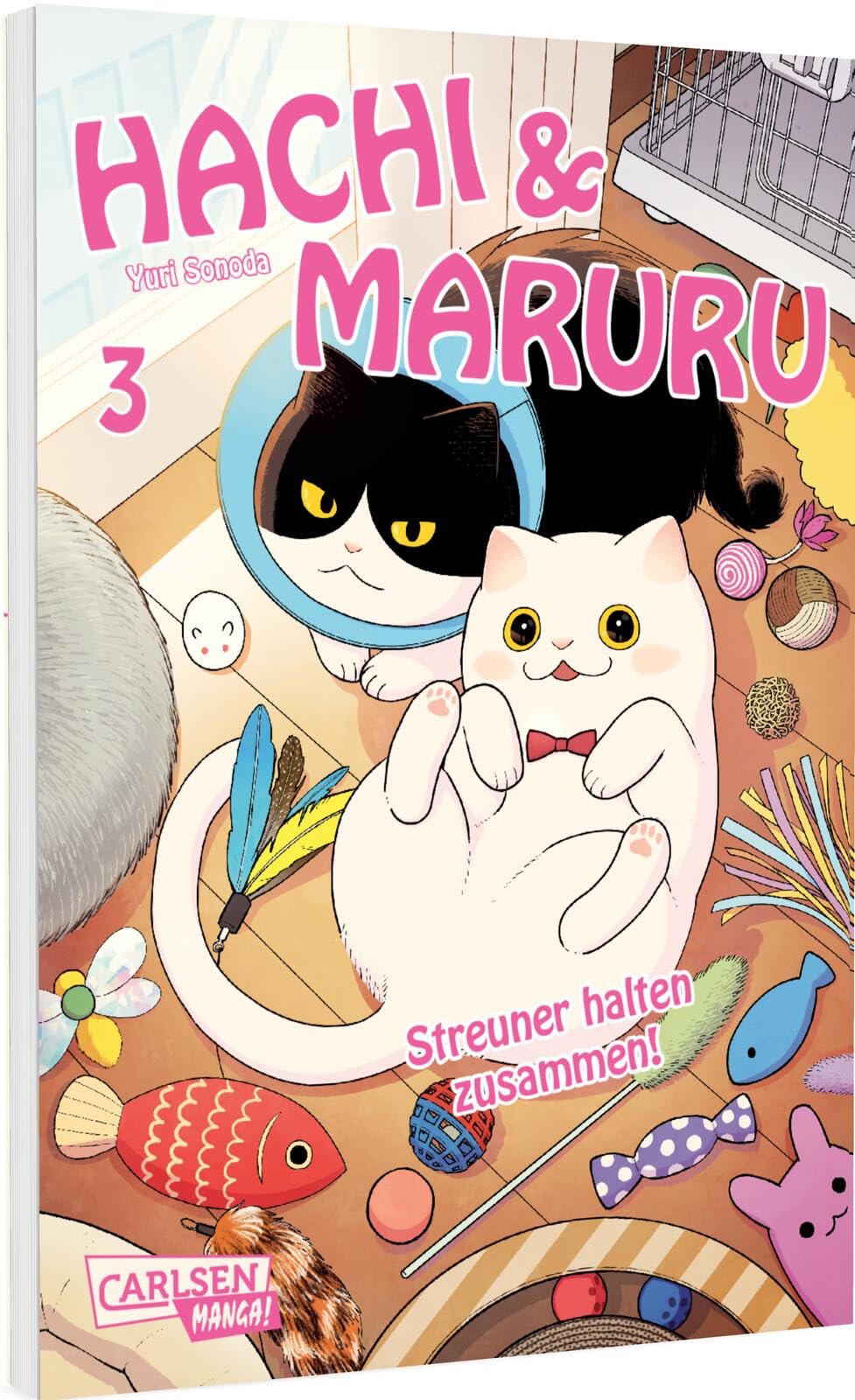 Hachi & Maruru - Streuner halten zusammen! 3: Herzergreifendes Abenteuer von zwei ungleichen Katzen auf der Straße
