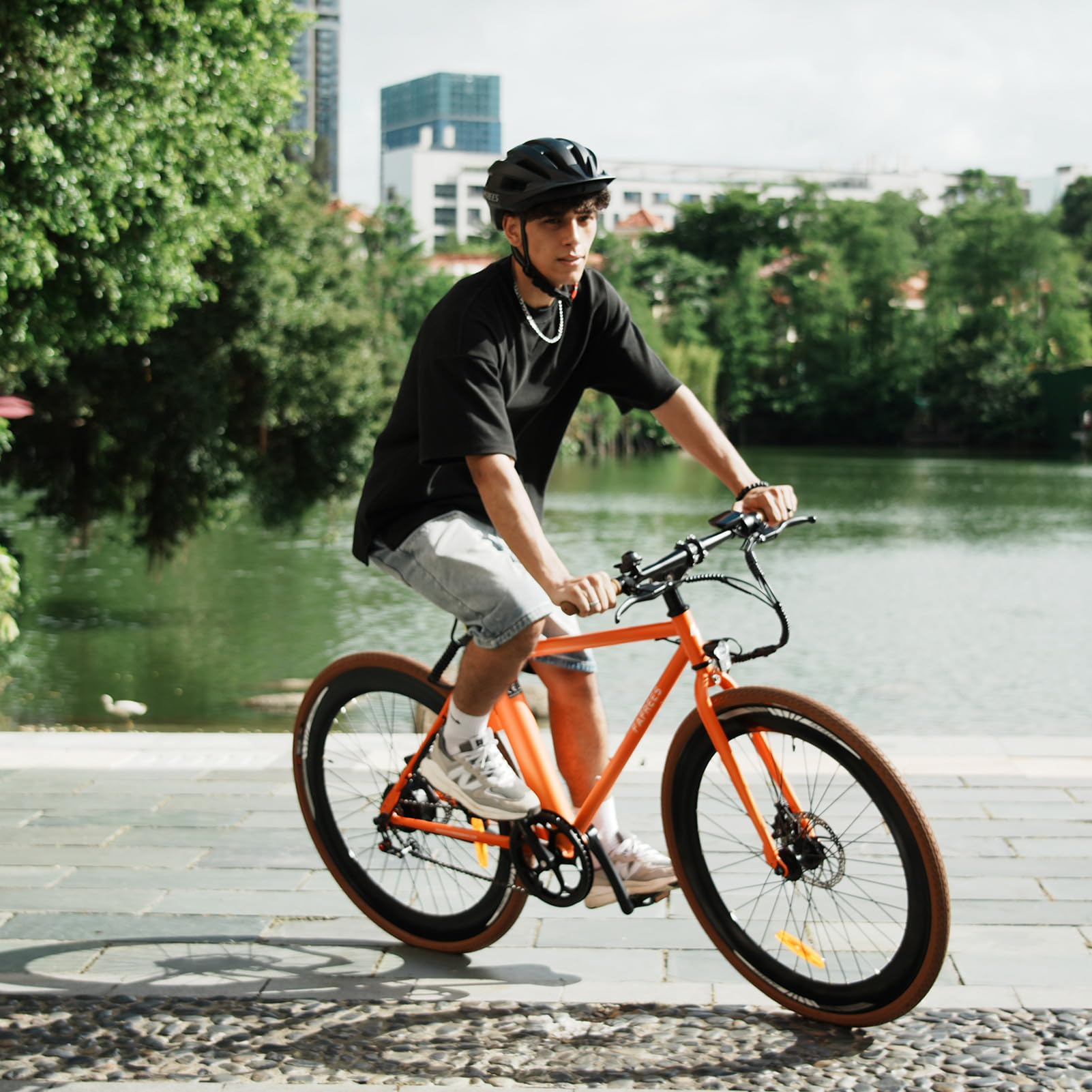 Fafrees F1 Bicicletta elettrica, 700C*38C Bici elettrica da strada, Motore 250W, Battteria 36V 10Ah, Bicicletta elettrica urbana Unisex Adulto, Potenza assistita: 40-60KM