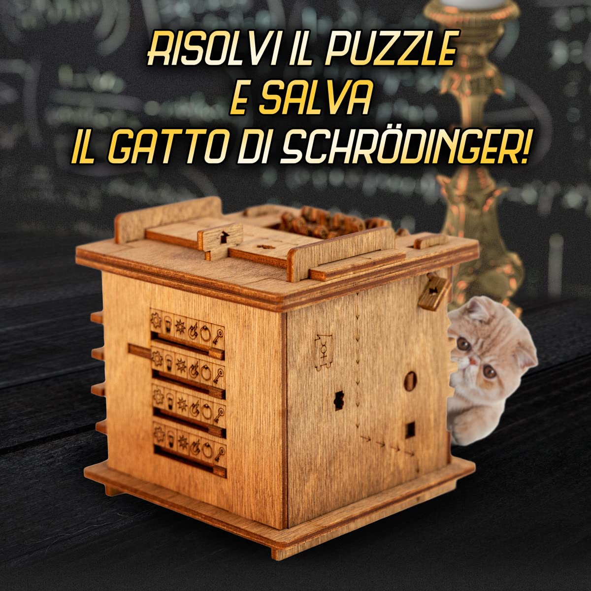 iDventure Cluebox Gatto di Schrödinger, Scatola Rompicapo per Adulti | Celebre Esperimento di Schrödinger, Scatola Rompicapo, Rompicapo Adulti, Escape Room, Giochi Logica Adulti, Livello 3/5