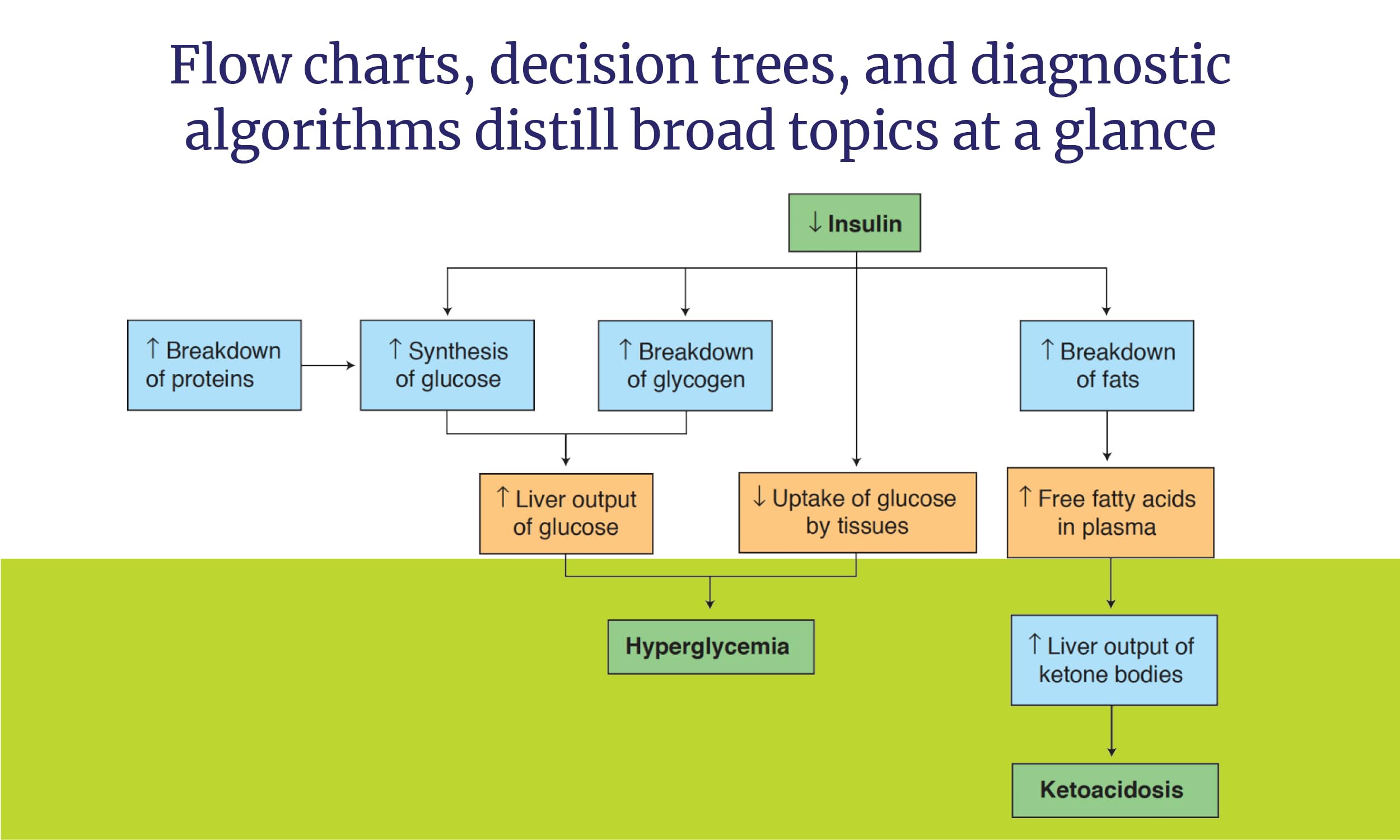 Master the Boards USMLE Step 2 CK, Eighth Edition (2026)