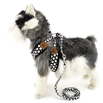 Amazon | ZUNEA 犬用 ハーネス リード セット 可愛い ドット柄