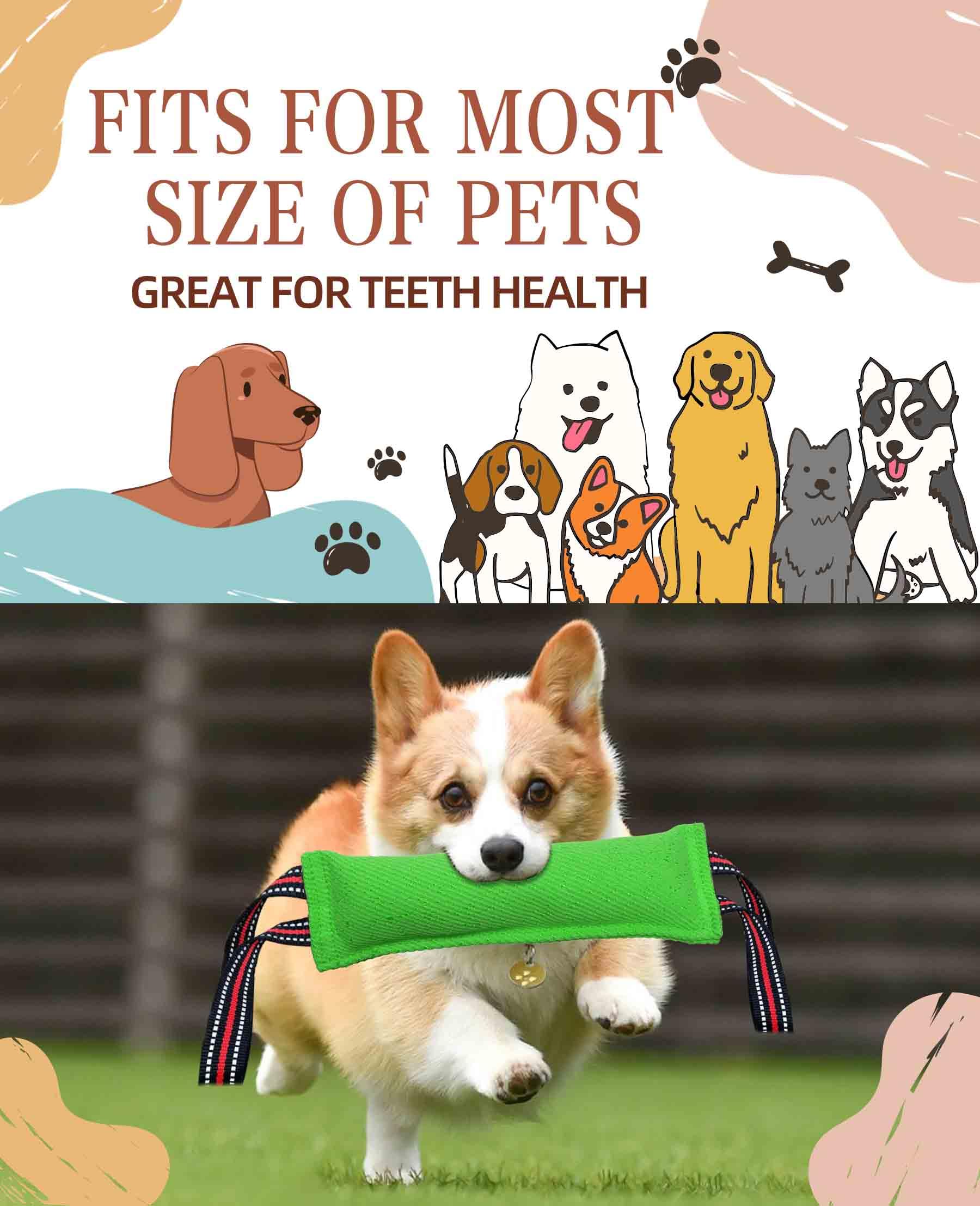 Zerrspielzeug Für Hunde Mit Quietschfunktion - Robustes Tauziehspiel Mit 2 Griffen Für Welpen & Große Hunde