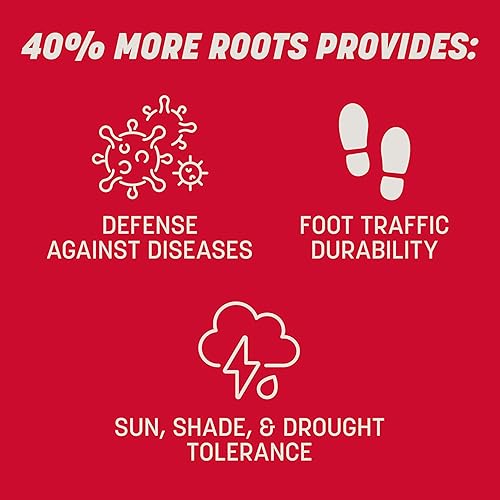 Miniatura 6 de Pennington The Rebels Tall Fescue - Mezcla de semillas de hierba de 40 libras