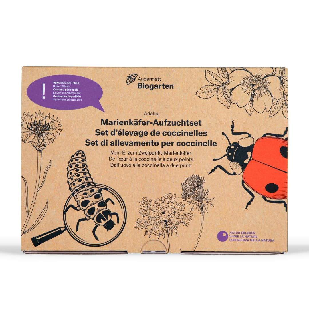 Andermatt Biogarten Adalia Marienkäferzucht Set mit Gutschein – Marienkäfer selber züchten, Aufzuchtset mit Box, Lupe & Anleitung, Lern- & Naturerlebnis für Garten & Kinder