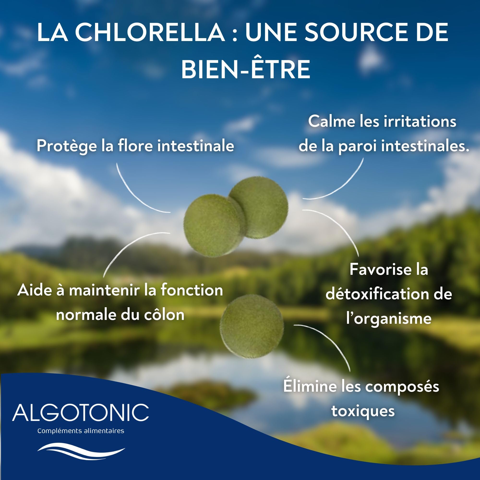 Chlorella Bio - 2500 mg par jour - 500 comprimés - Cure de 100 jours - Poudre de Chlorella vulgaris 100% PURE - Maintien d’une bonne santé intestinale - Detox - Intestin