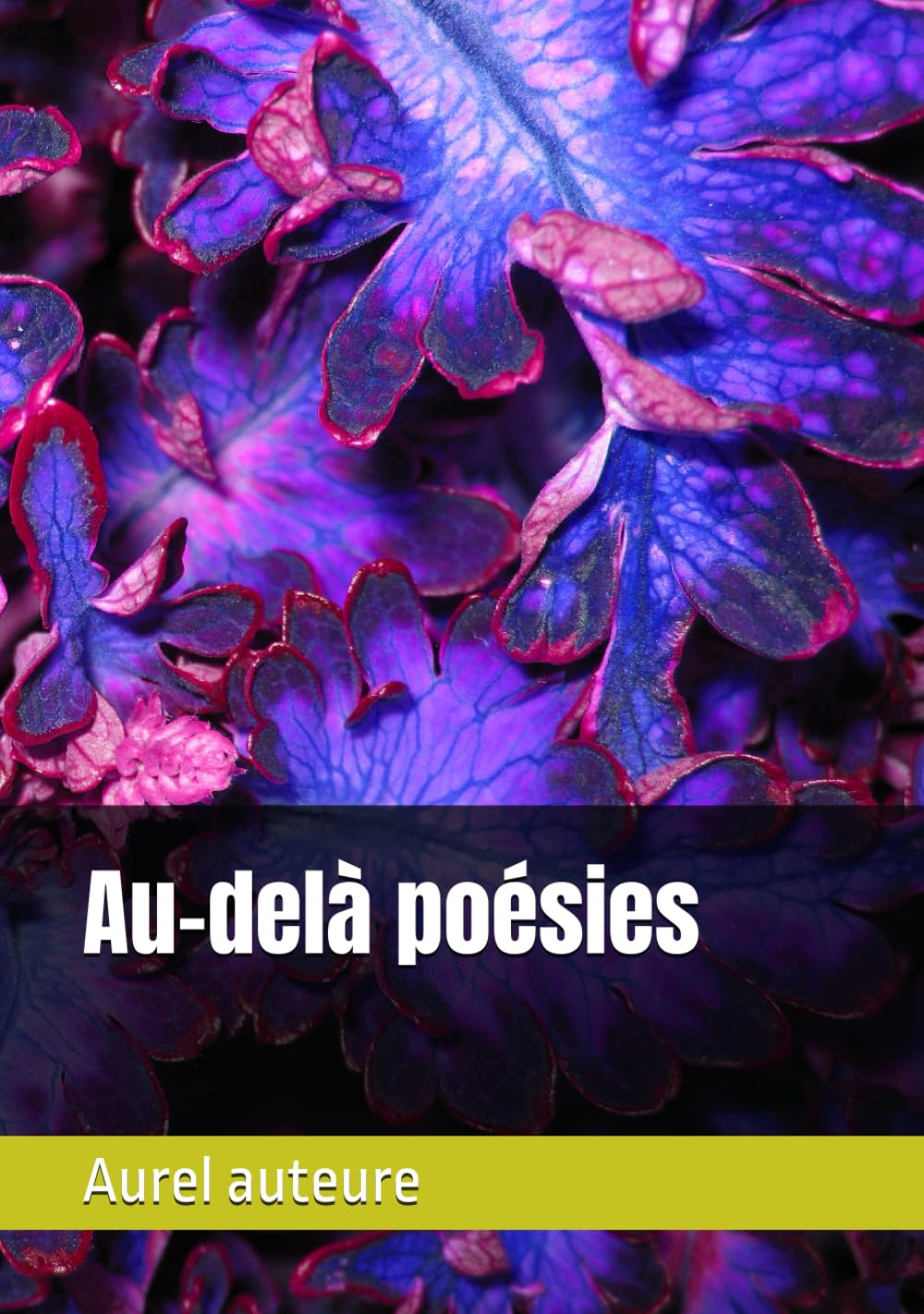 Au-delà poésies