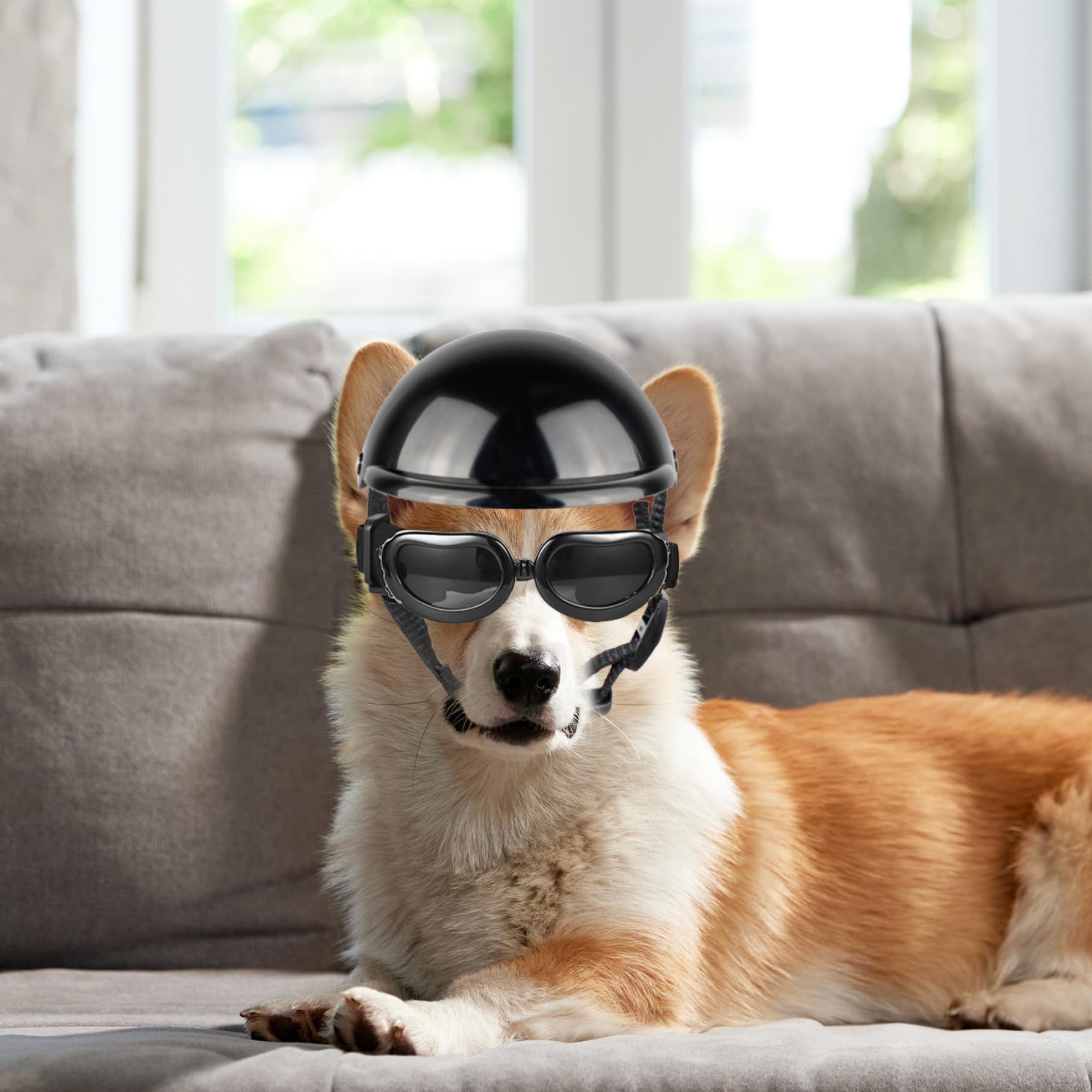 Casque pour Chien, Casque et Lunettes pour Chien 2 pièces/Ensemble dôme de mentonnière réglable avec Trou d'oreille Coupe-Vent Lunettes décoratives élégantes Fournitures pour Animaux de Compagnie